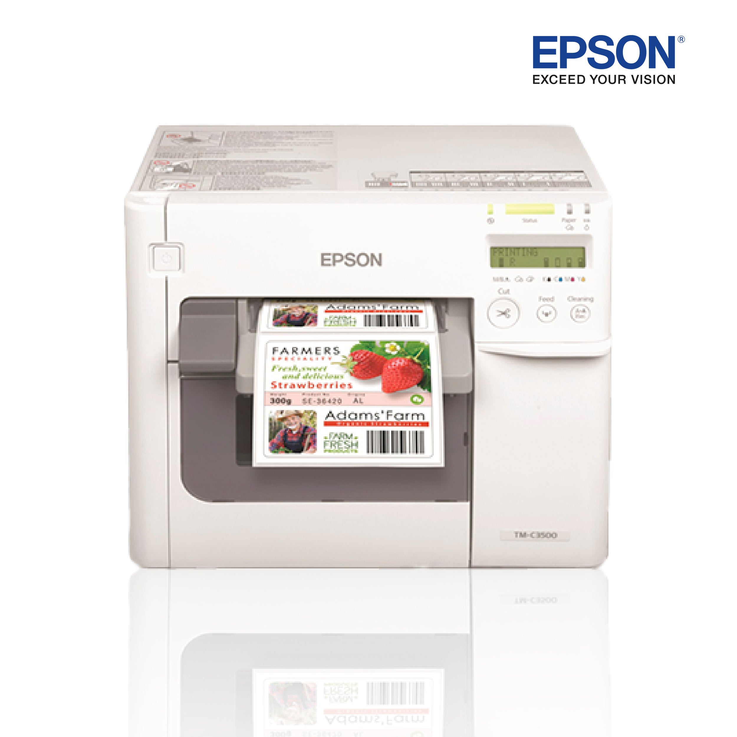 Impresora EPSON COLORWORKS C3500